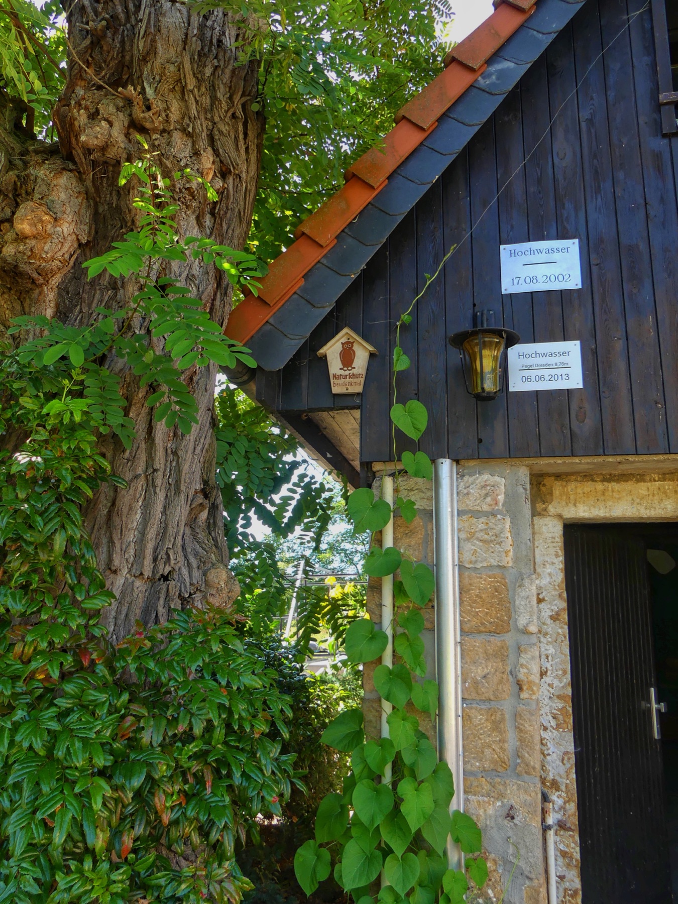 Das alte Bootshaus des CKV